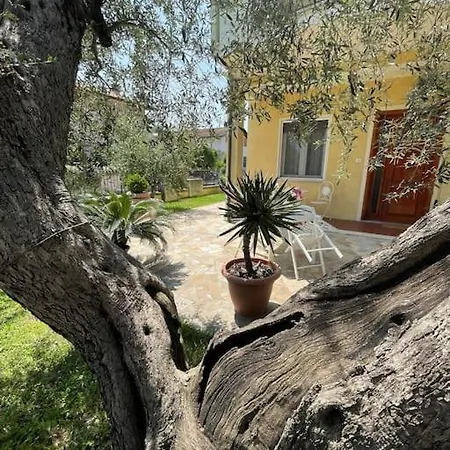 Casetta Mia - Family House Tatil Evi